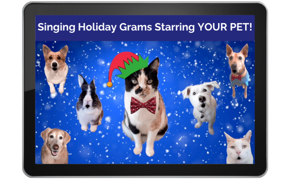 happy holidays from your furry friends 3